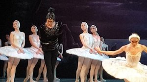 Бис" Лебединное озеро "