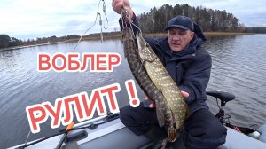 Навигация ЗАКРЫТА 🔒// Спиннинг в начале ноября, воблер сила 💪