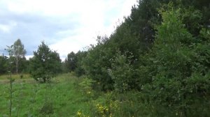 Арт -пространство на Ясной Поляне. Олег Малахов. ПРП Ковчег