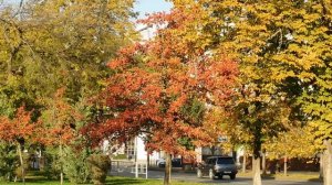 02=11=2025  ник  КРАСНОДАР   (120)