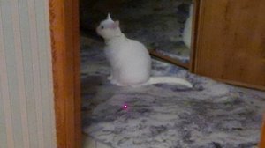 Милка наблюдает за ЛЦУ