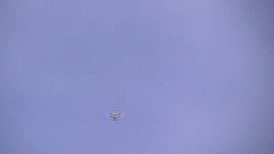 4.11.2025Г.Некоторые перекличку сдали.