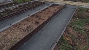 Как у меня грядки уходят в зиму