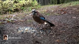 Экотерапия 52 серия.