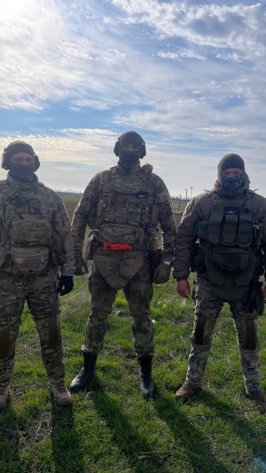 Всем доброй ночи.Тут вот какое дело, мне песенку написали