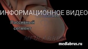 Вагинальные роды-Первая стадия родов: 3D-анимация процесса и симптомы