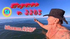 #Абхазия2025🌴 04.11.25г.🔥 Выпуск № 2205❗вчера +22°🌡ночью +10°🌡море +16,2°🐬