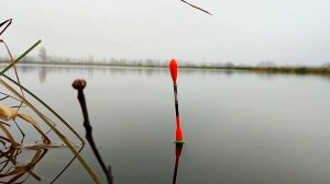 УЛОВИСТАЯ ПОПЛАВОЧНАЯ СНАСТЬ НА КРУПНУЮ РЫБУ