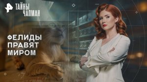 Фелиды правят миром — Тайны Чапман (04.11.2025)