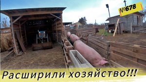 Как мы покупали поросят. Цена на поросят в Сибири. Жизнь и будни в Омской деревне.