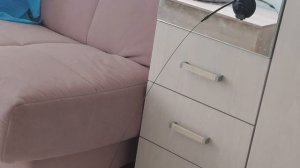 Почему котята так любят эту синюю крышку?