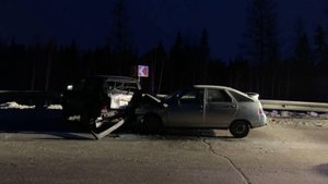 Аварии и ДТП на дорогах ТОРОПЫГИ за рулем