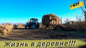 Фермерские будни в Сибири — удивительные моменты! Жизнь в Омской деревне.