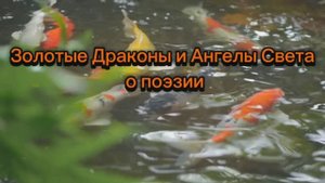 Золотые Драконы и Ангелы Света о поэзии 07.10.2025г (159 Послание)