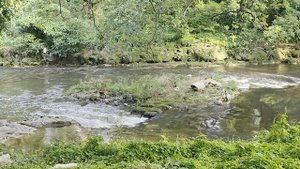 Парк-лес Альмендарис с уникальной девственной природой Кубы в Гаване