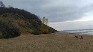 Пляж в Ульяновске за парком "Прибрежный", 29.10.2025