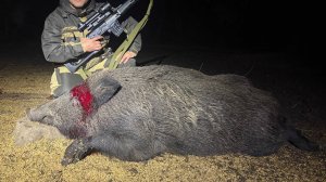 Охота на кабанкчика