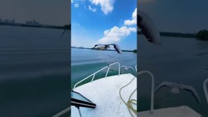 Что тебе сказать о любви