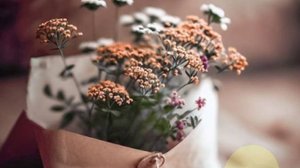 Доброе утро - Пусть весь день будет светлым и радостным!