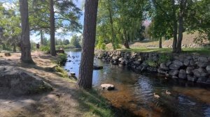 Приозерск. VID_20250814_132054_162