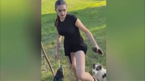 Приколы до слез🤣