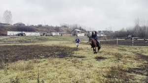 Дневник конных сборов — 30 октября