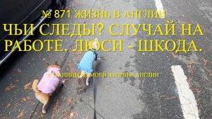 Чьи следы? Новости с работы. Люси - шкода. Ива, еда и сад. № 871 Жизнь в Англии