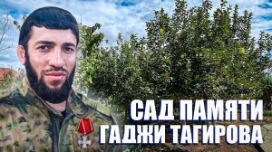 «Сад памяти Гаджи Тагирова». Удивительные горцы