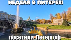 САНКТ ПЕТЕРБУРГ 2025/ПЕТЕРГОФ/ВКУСНЫЙ УЖИН/АЗИЯ ПЛОВ #санктпетербург #петергоф #прогулка #обзор