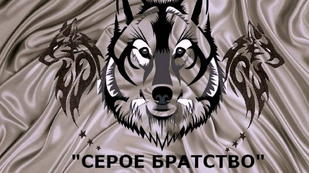 Серое братство 1. Викинг и Вирза Из Тигровой Династии 04.2019.