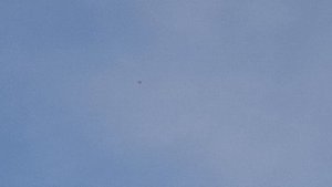 1000106148.mp4 Утро с голубями.