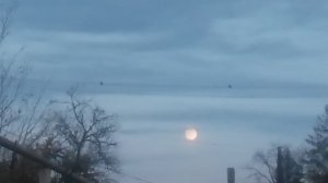 VID_20251104_170146.mp4