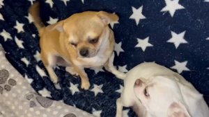 Всем наидобрейшего вечера и самой спокойной ночи.