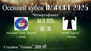 04.11.2025 Осенний кубок Четвертьфинал Академия Лобня(желтые) - АО ФК Торпедо