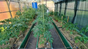 теплица домиком