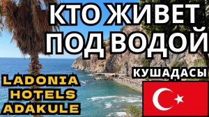 ПОДВОДНЫЙ МИР ЭГЕЙСКОГО МОРЯ! КУШАДАСЫ Ladonia Hotels Adakule!