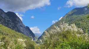 По дороге на Красную поляну. Сочи.