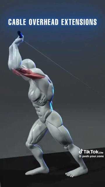 🤛/ДЛЯ ДОМА И ЗАЛА/Все в твоих руках, действуй/