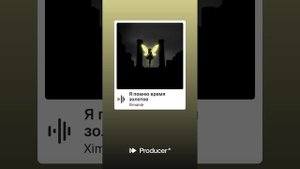 Я помню время золотое