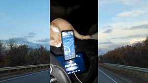 🐱👨👩🐈 Едем в Краснодарский край Белореченск навестить свой новый дом 😁