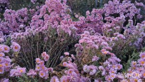 4 ноября 2025 г.С Днём народного единства.