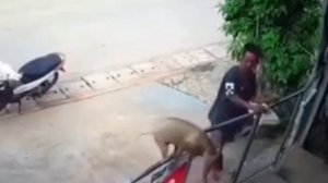 и так бывает