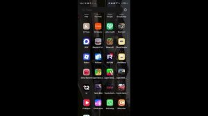 слаим ранчер 6