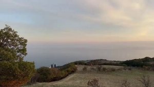 ВЕЧЕРНЯЯ АЛИСОТЕРАПИЯ | #общение #ламповыйстрим #девушкастримит