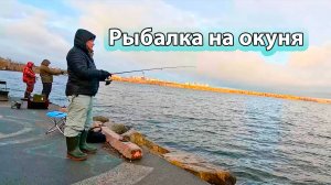 1 ноября на озере Шарташ — заключительный день плюсовой погоды и рыбалки на открытой воде