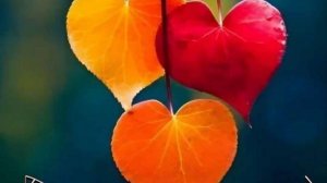 Оракул предупредил об..... Расклад на сегодня.