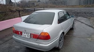 Обзор безумного сабвуфера от DL-AUDIO Phoenix Black Bass 12🔊