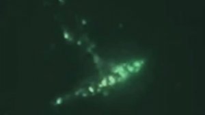 3I/ATLAS НЕ ОДИН — ОБНАРУЖЕНО ЕЩЁ 4 ОБЪЕКТА!