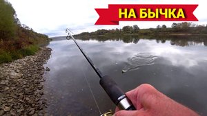 ЖИВЦОВАЯ СНАСТЬ ВЫРУЧАЕТ. Рыбалка на ОКЕ поздней осенью.