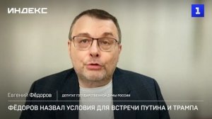 Фёдоров назвал условия для встречи Путина и Трампа